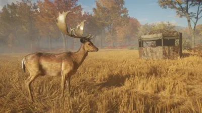 theHunter: Call of the Wild™ - Tents & Ground Blinds - Windows 10 — скриншот 1