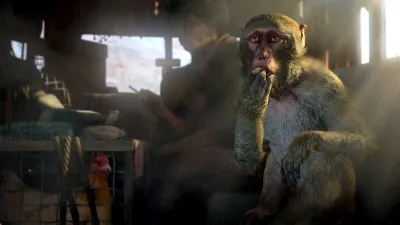 FAR CRY 4 — скриншот 6
