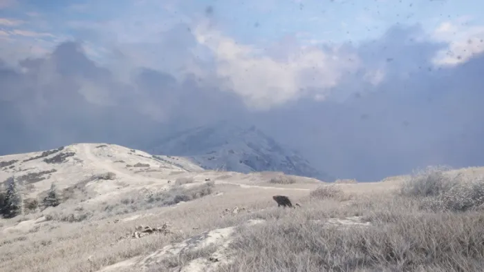 theHunter: Call of the Wild™ - Sundarpatan Nepal Hunting Reserve — скриншот 3