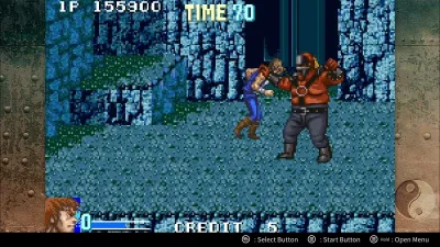 DoubleDragon Advance — скриншот 4