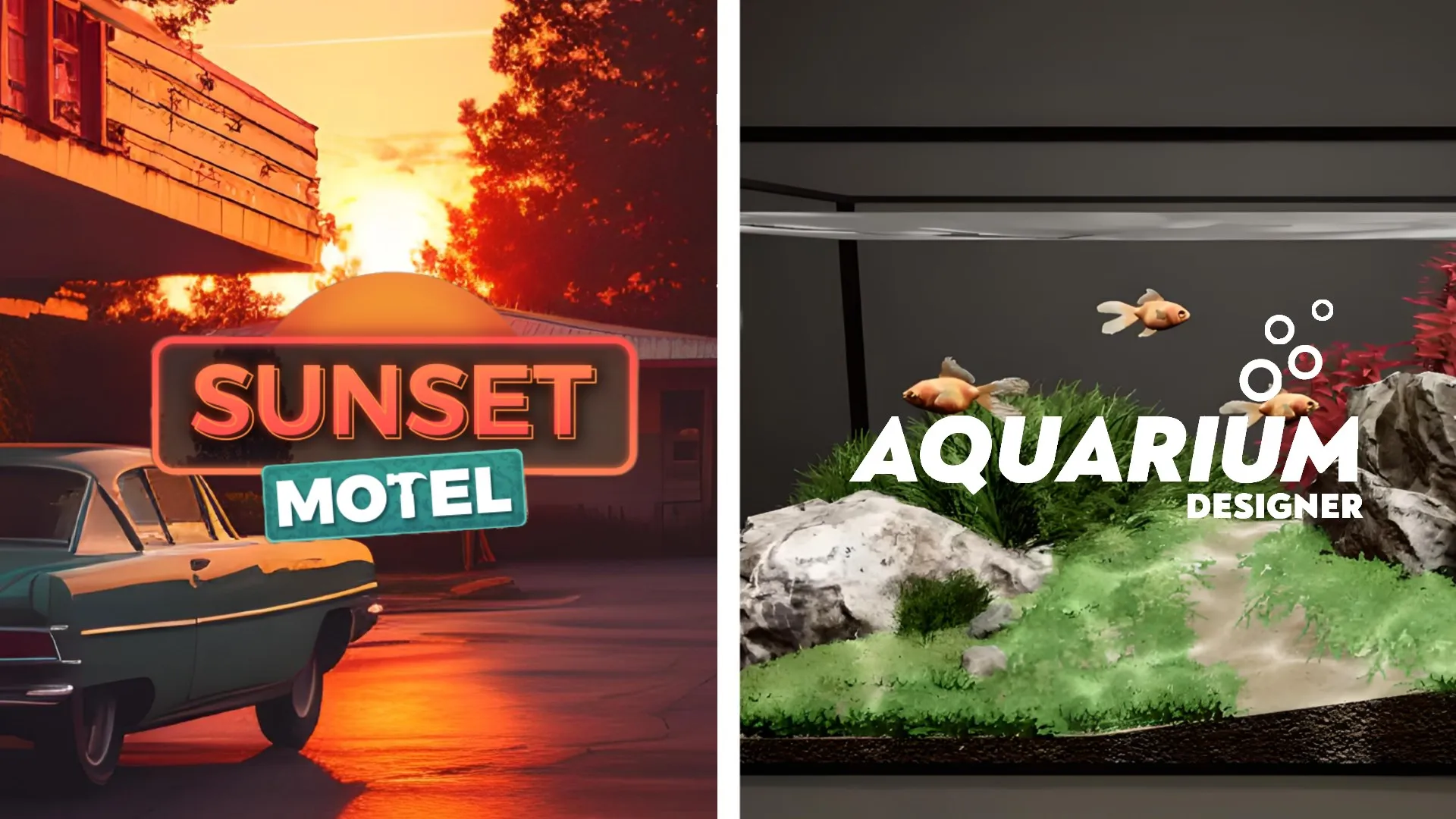 Sunset Aquarium Bundle