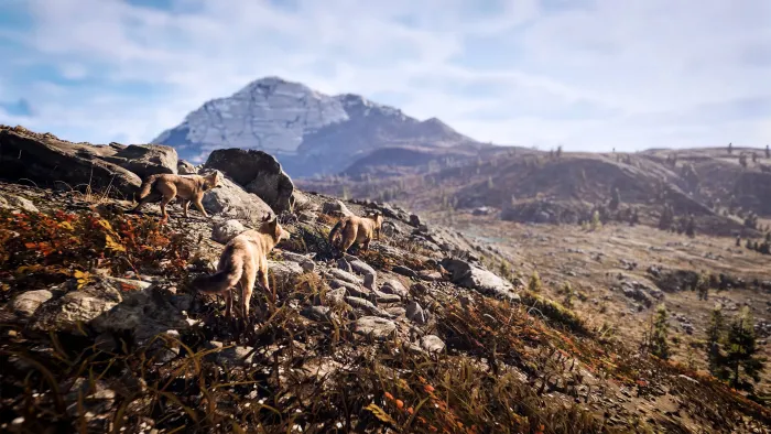 Hunting Simulator 3 - Apex Predator Edition — скриншот 10