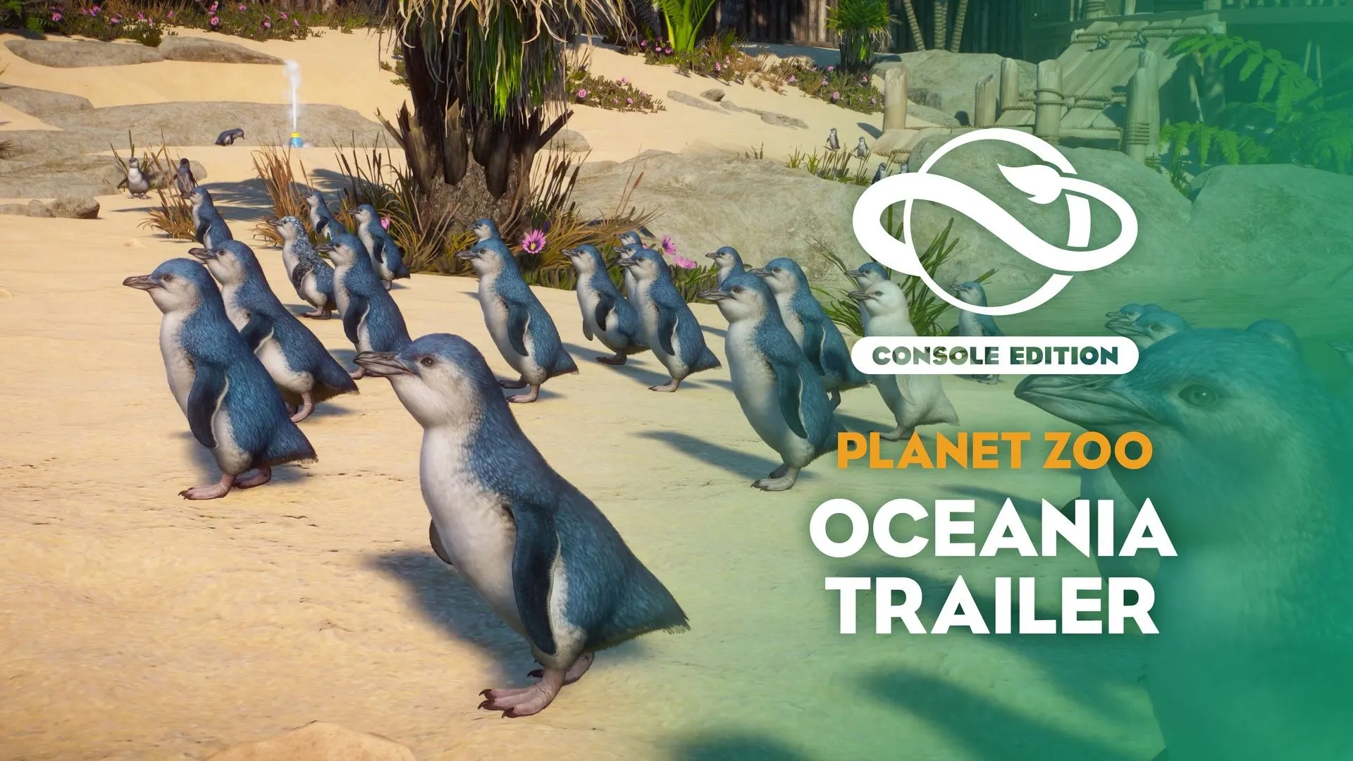 Planet Zoo: Oceania Pack — трейлер