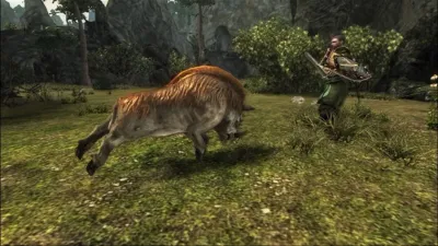 Risen (2009) — скриншот 3