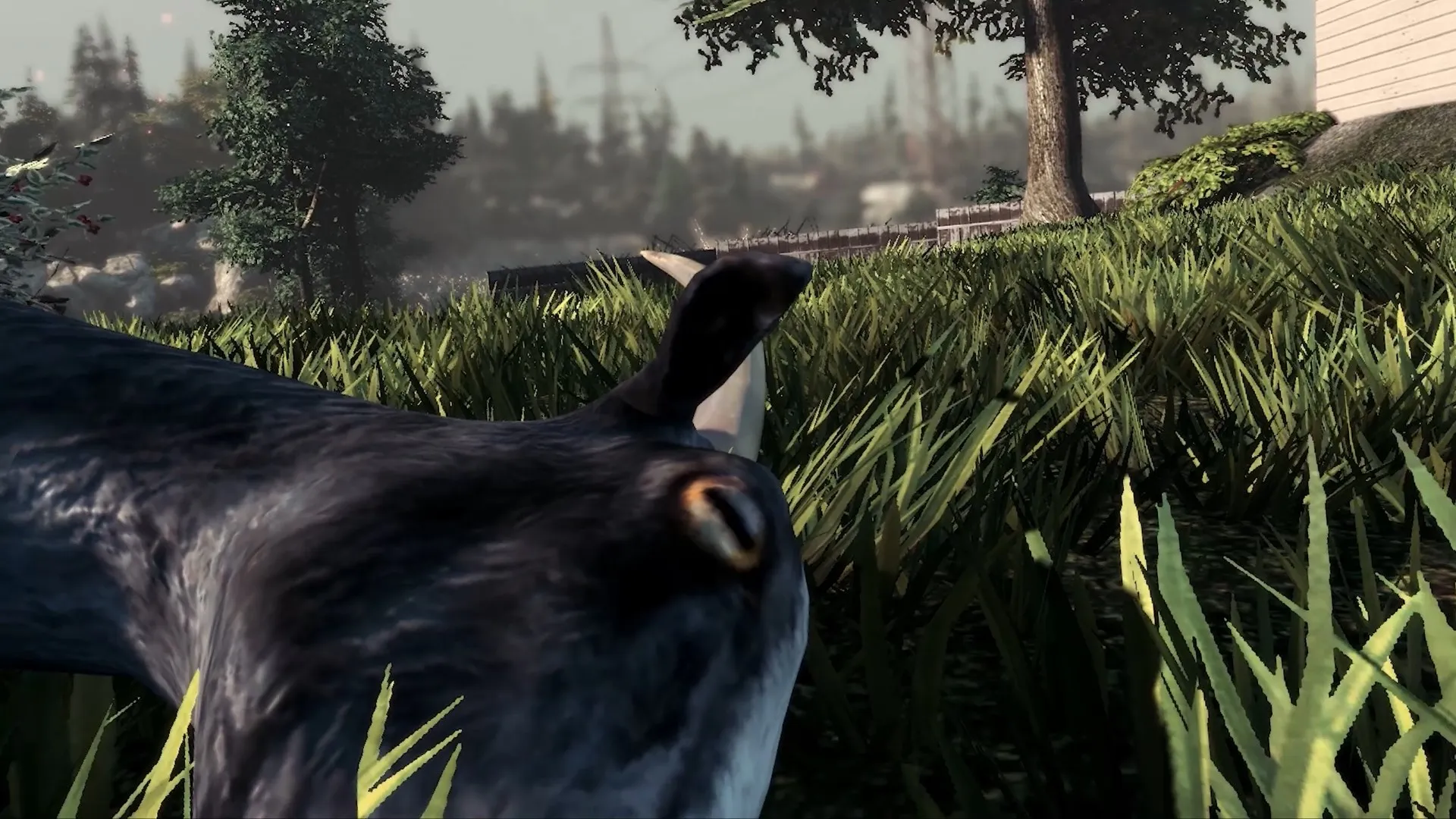 Goat Simulator Windows 10 — трейлер