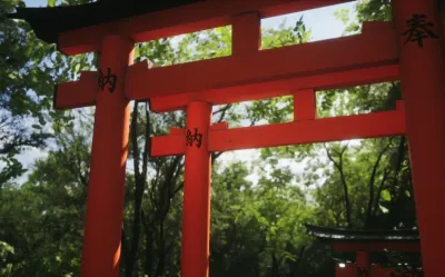 Lushfoil Photography Sim — скриншот 1