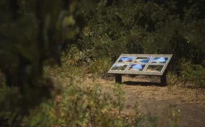 Lushfoil Photography Sim — скриншот 3