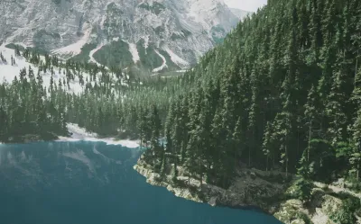 Lushfoil Photography Sim — скриншот 6