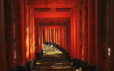 Lushfoil Photography Sim — скриншот 8