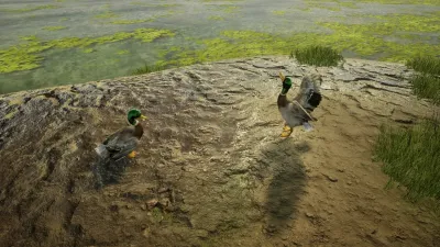 Animal Doctor — скриншот 4