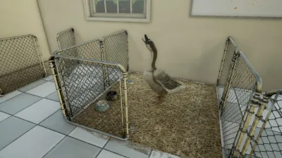 Animal Doctor — скриншот 7