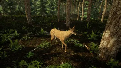 Animal Doctor — скриншот 8