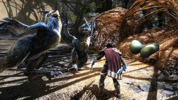 Kingdoms of Amalur: Re-Reckoning FATE Edition — скриншот 9