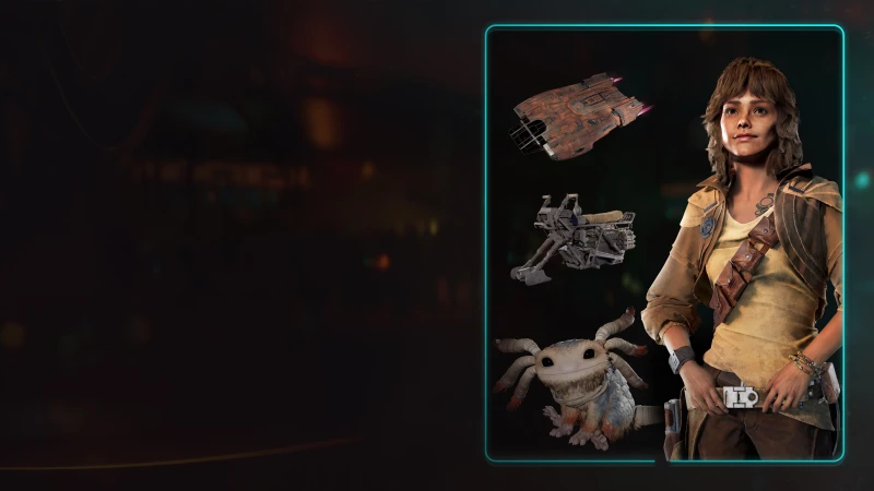 Набор "Пустынный кочевник"