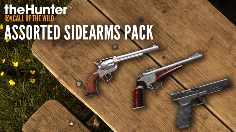 theHunter Call of the Wild™ - Assorted Sidearms Pack