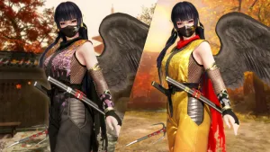 Костюм могучего ниндзя для DOA6 — Нётэнгу