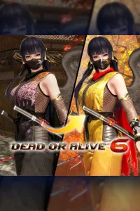 Костюм могучего ниндзя для DOA6 — Нётэнгу