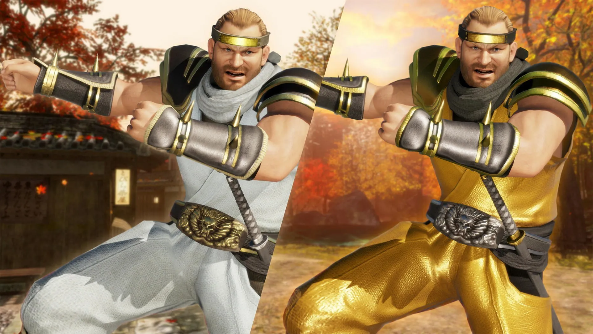 Костюм могучего ниндзя для DOA6 — Басса