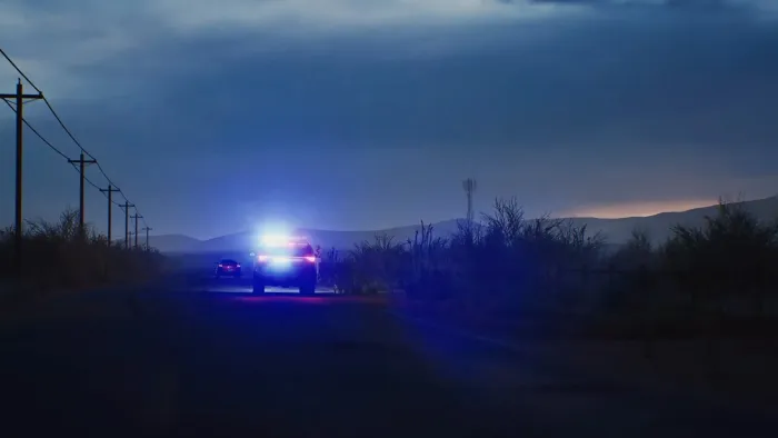 Highway Police Simulator: S.W.A.T. Edition — скриншот 4