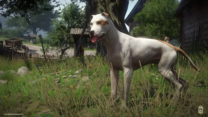 Kingdom Come: Deliverance - A Woman's Lot (Windows) — скриншот 7