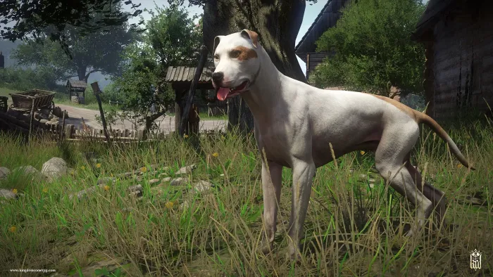 Kingdom Come: Deliverance - A Woman's Lot (Windows) — скриншот 8