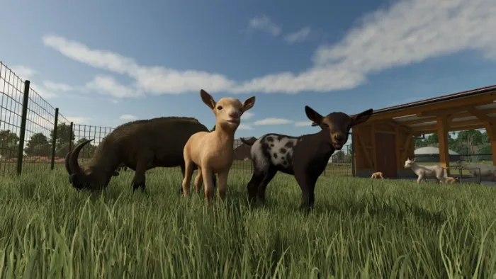 Farming Simulator 25: Year 1 Bundle — скриншот 4