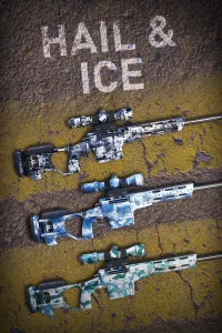Hail & Ice Skin Pack