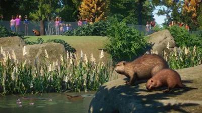 Planet Zoo: Издание Ultimate Edition — скриншот 10