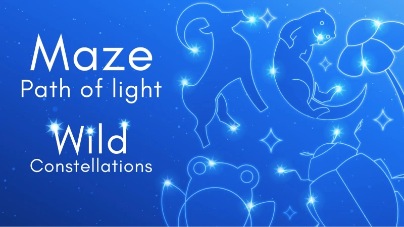Maze: Path of Light - Wild Constellations