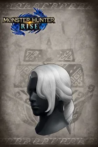 Прическа «Хвост принца»