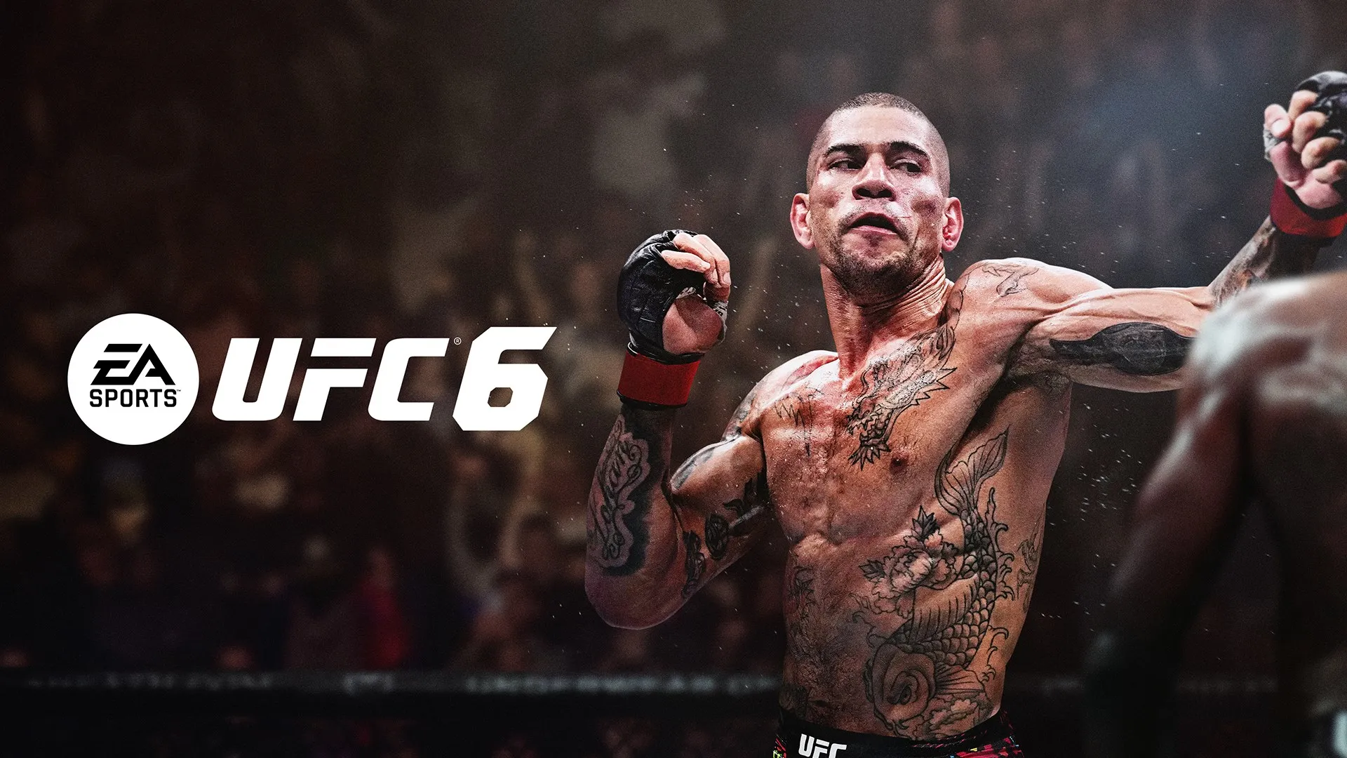 Стандартное издание UFC™ 6