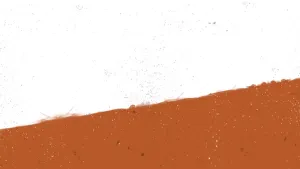 Insurgency: Sandstorm - Year 4 Pass