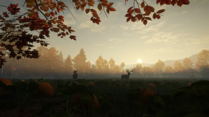 theHunter: Call of the Wild™ - New England Mountains — скриншот 9