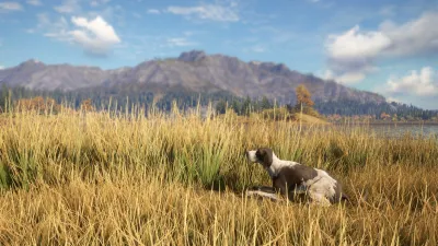theHunter: Call of the Wild™ - German Shorthaired Pointer — скриншот 11