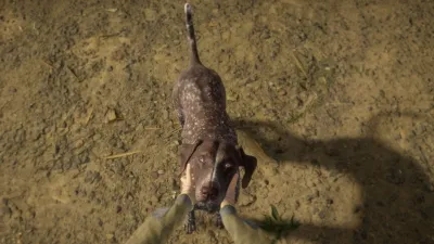 theHunter: Call of the Wild™ - German Shorthaired Pointer — скриншот 4