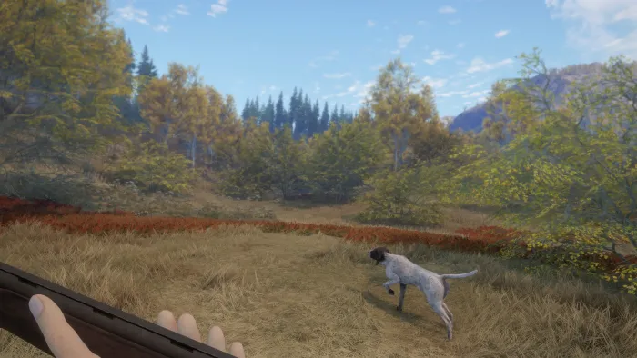 theHunter: Call of the Wild™ - German Shorthaired Pointer — скриншот 4