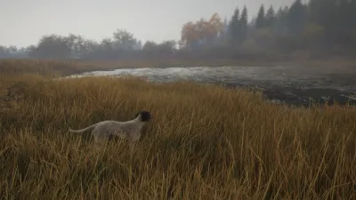 theHunter: Call of the Wild™ - German Shorthaired Pointer — скриншот 10