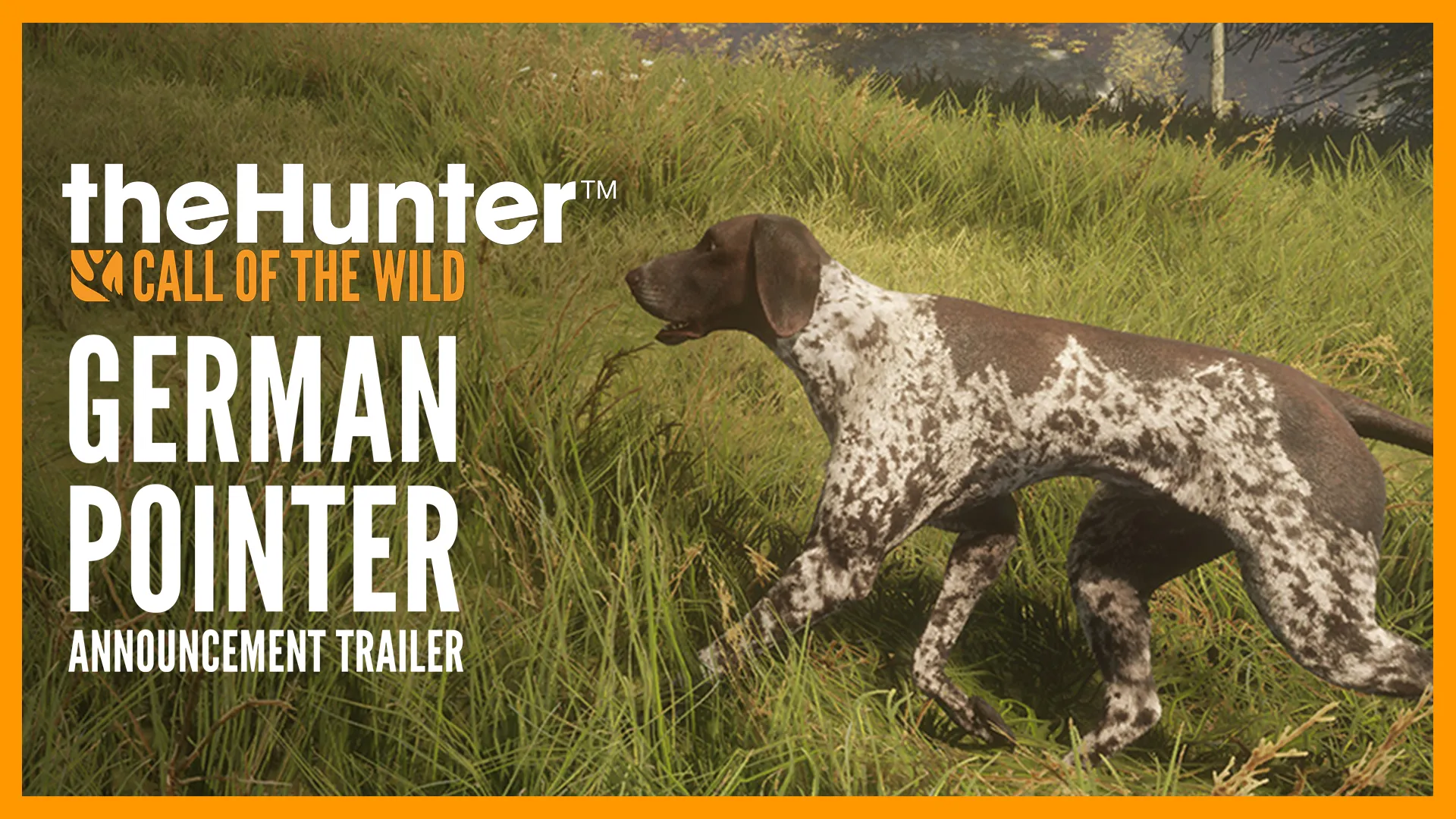 theHunter: Call of the Wild™ - German Shorthaired Pointer — трейлер