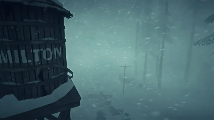 The Long Dark — скриншот 9