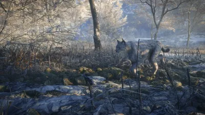 theHunter: Call of the Wild™ - Medved-Taiga - Windows 10 — скриншот 1