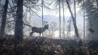 theHunter: Call of the Wild™ - Medved-Taiga - Windows 10 — скриншот 2