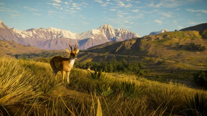 theHunter: Call of the Wild™ - Peru Hunting Reserve — скриншот 4
