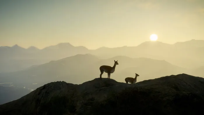 theHunter: Call of the Wild™ - Peru Hunting Reserve — скриншот 9