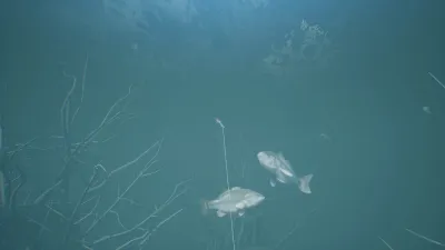 Bassmaster® Fishing 2022: Super Deluxe Edition — скриншот 3