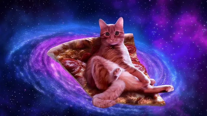 AAA Dynamic Scenes - Lazy Pizza Cat Dynamic Scene — скриншот 1