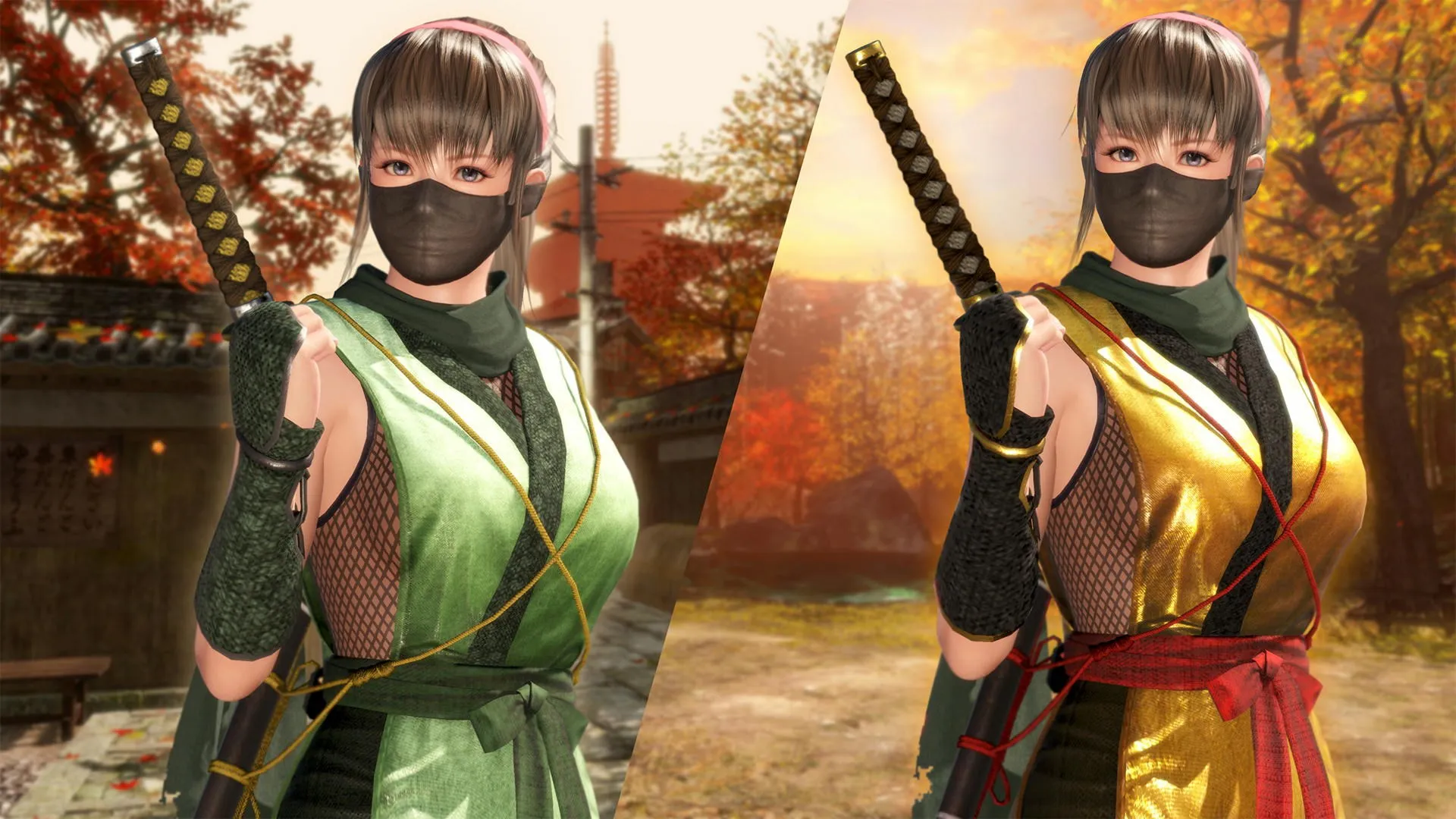 Костюм могучего ниндзя для DOA6 — Хитоми