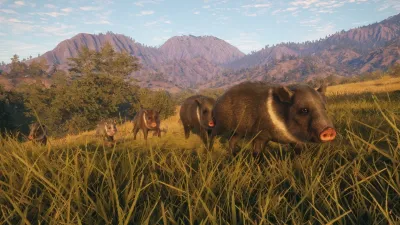 theHunter: Call of the Wild™ - Rancho Del Arroyo — скриншот 4