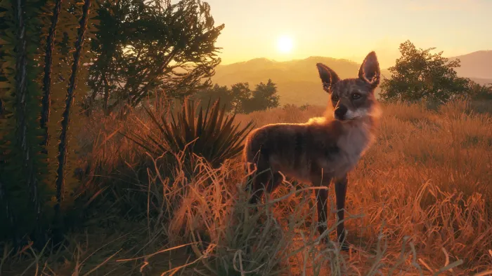 theHunter: Call of the Wild™ - Rancho Del Arroyo — скриншот 9