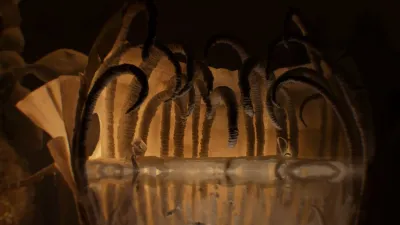 Papetura — скриншот 2