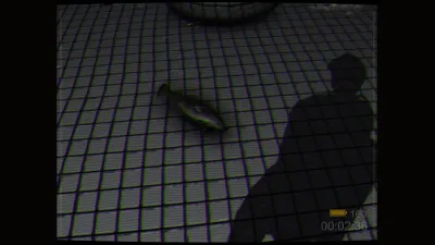 Backrooms: Poolrooms — скриншот 2